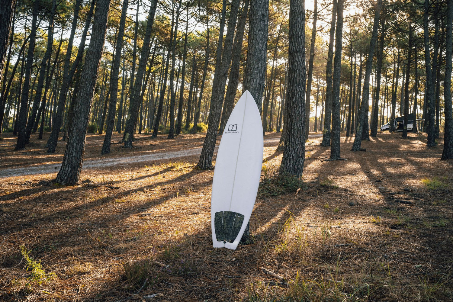 Tabla de surf | MantaManta